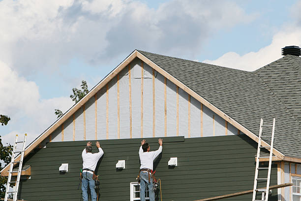 Best Stone Veneer Siding  in Plattsmouth, NE